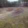Działka rolna Filochy. Zdjęcie 7