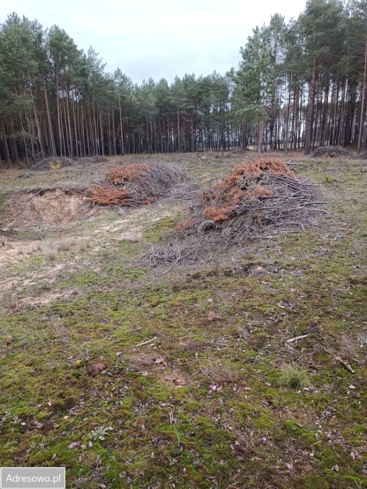 Działka rolna Filochy. Zdjęcie 7