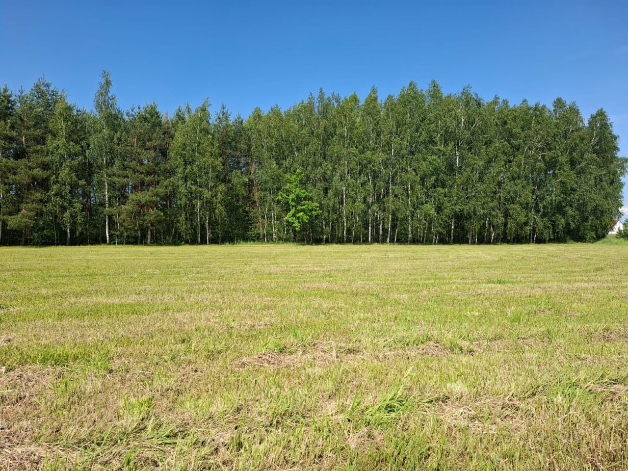 Działka budowlana Stale