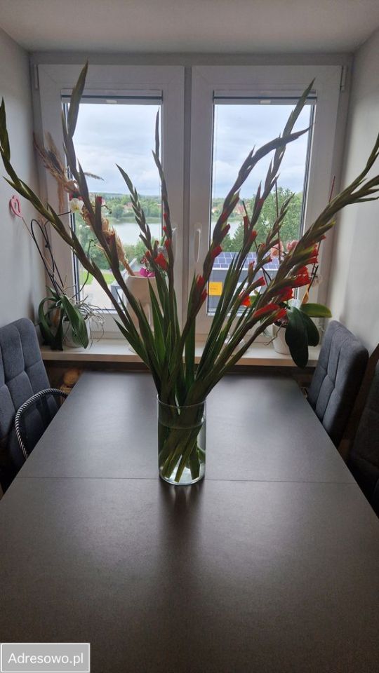 Mieszkanie 3-pokojowe Szczytno, ul. Pasymska. Zdjęcie 10