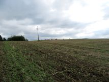 Działka rolna Strużyna. Zdjęcie 3