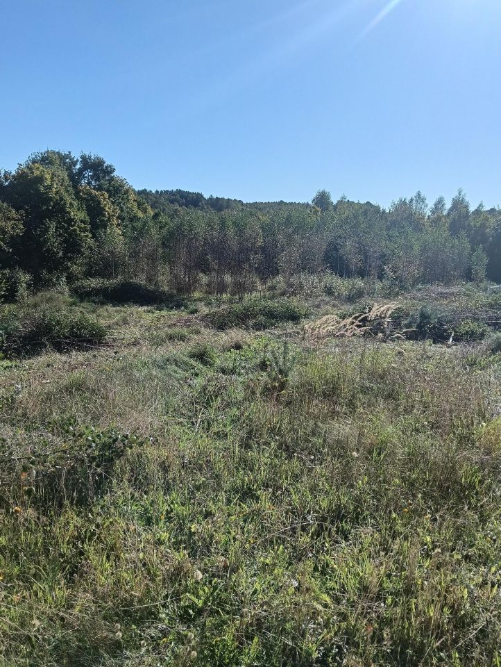 Działka budowlana Ostrzyce, ul. Kasztelańska. Zdjęcie 3