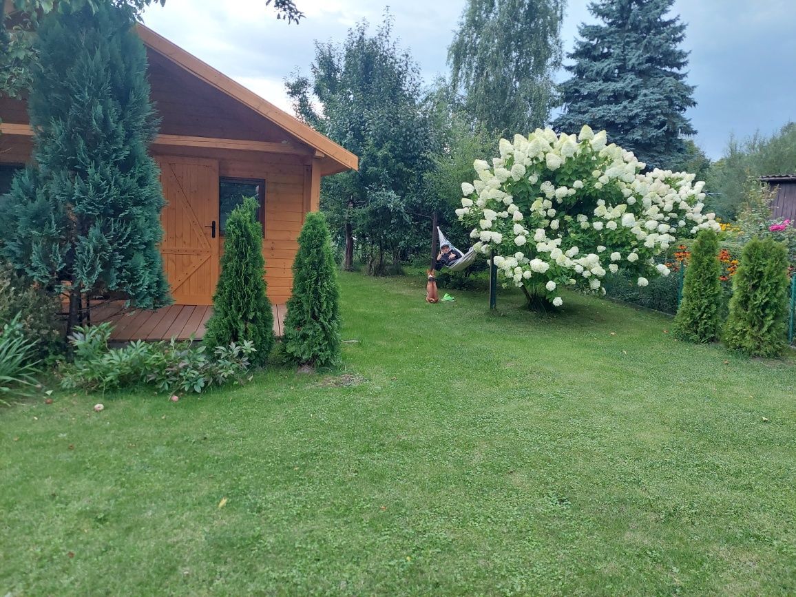 Działka rod Lublin, ul. Osmolicka. Zdjęcie 2