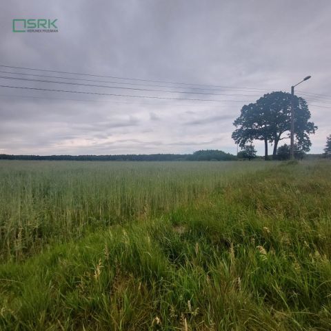 Działka Rudziczka, ul. Woszczycka. Zdjęcie 4