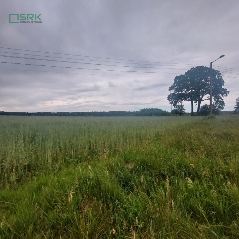 Działka inna Rudziczka, ul. Woszczycka. Zdjęcie 4