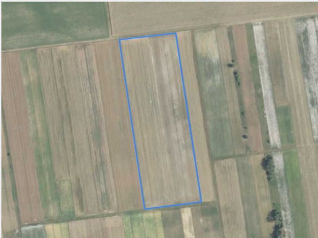 Działka rolna Brzeźnica Leśna. Zdjęcie 1