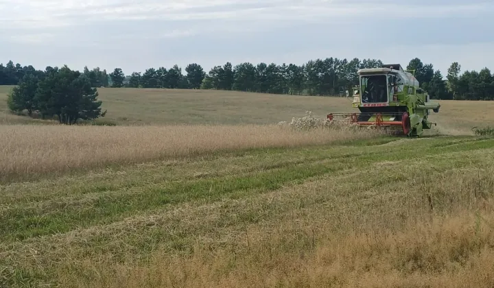 Działka rolna Łomnica
