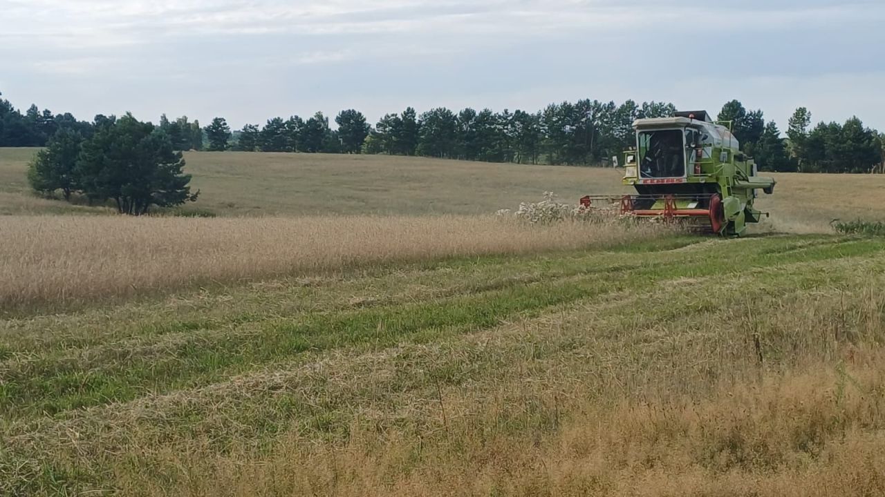 Działka rolna Łomnica. Zdjęcie 1