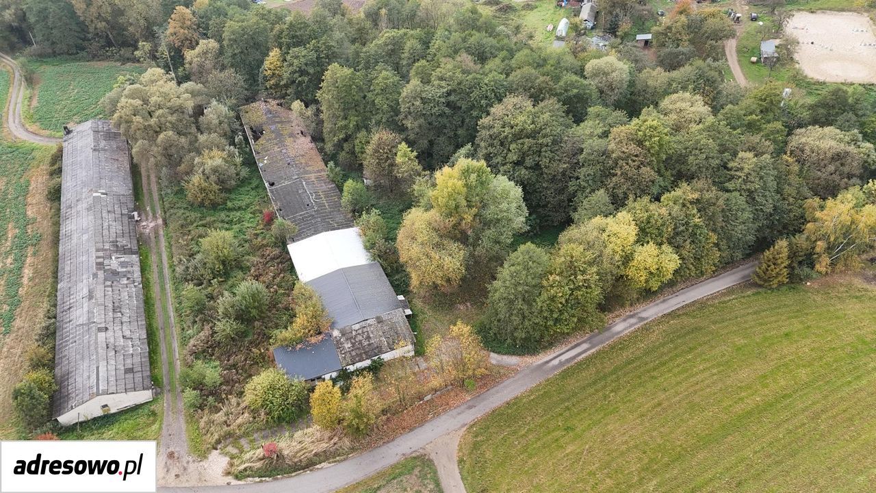 Działka inwestycyjna Radwanowice. Zdjęcie 8
