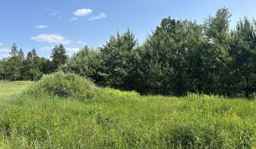 Hala/magazyn Sieniawa