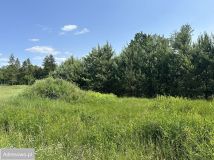 Hala/magazyn Sieniawa. Zdjęcie 1