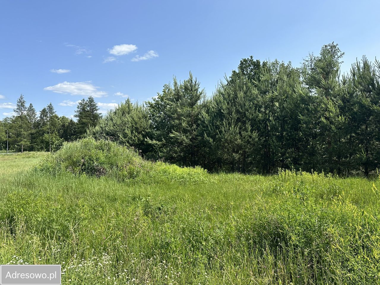 Hala/magazyn Sieniawa. Zdjęcie 2