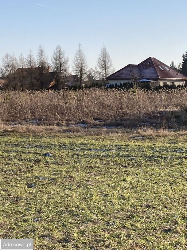 Działka rolna Brzezina, ul. Wieczysta. Zdjęcie 4