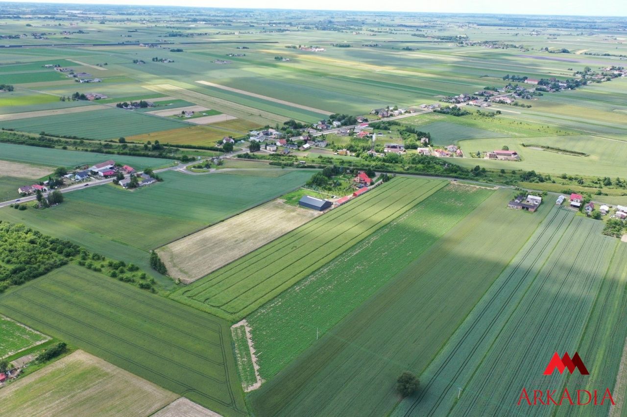 Działka rolna Kowal. Zdjęcie 5