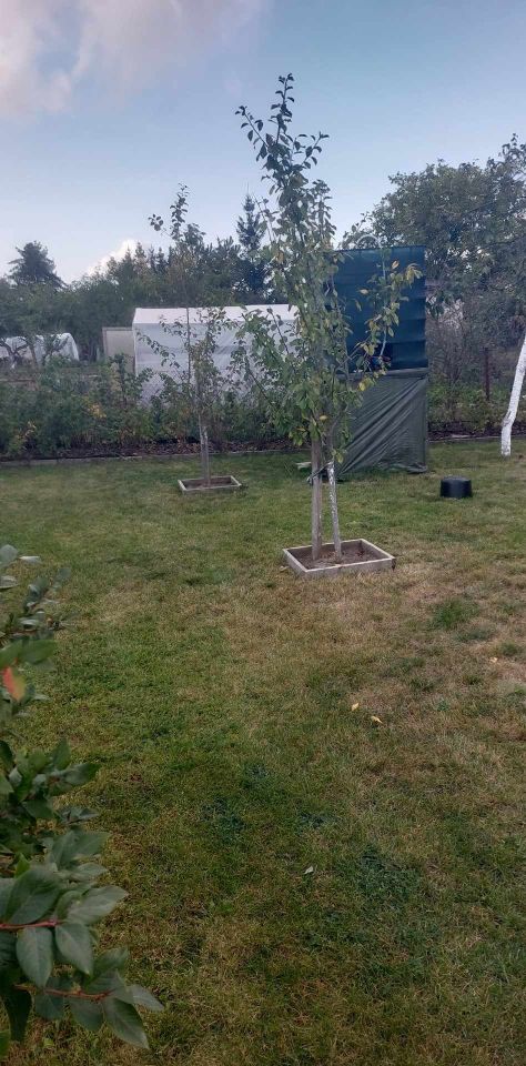 Działka rod Grochowiska. Zdjęcie 41