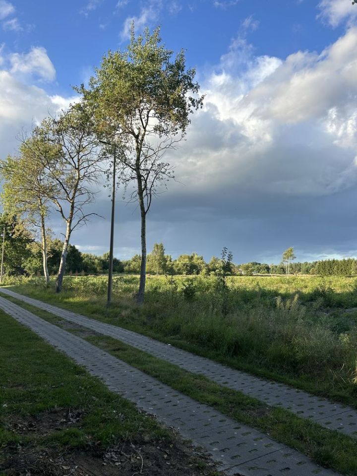 Działka rolna Krępsko, ul. Spacerowa. Zdjęcie 5