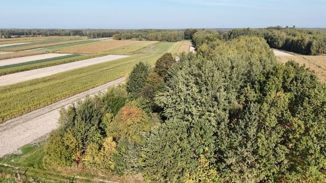 Działka Gwizdów. Zdjęcie 3