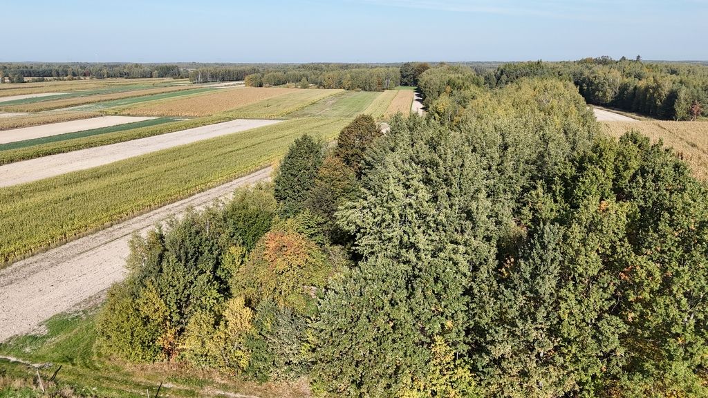 Działka Gwizdów. Zdjęcie 3