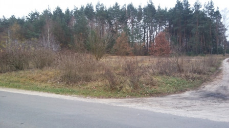 Działka budowlana Cyprianka