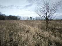 Działka inwestycyjna Baniocha, ul. Lipowa. Zdjęcie 1