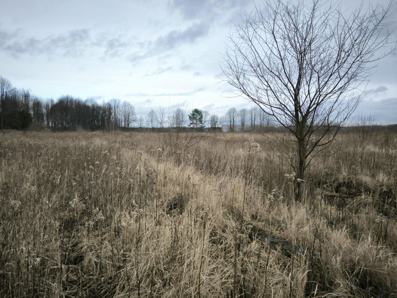 Działka inwestycyjna Baniocha, ul. Lipowa. Zdjęcie 2