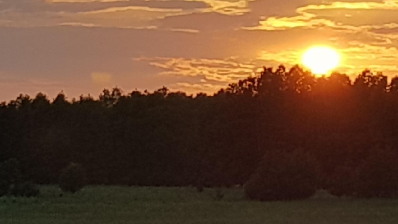 Działka budowlana Sarbsk, ul. Morska. Zdjęcie 9