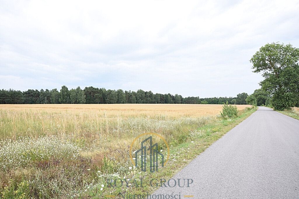 Działka siedliskowa Górka. Zdjęcie 3