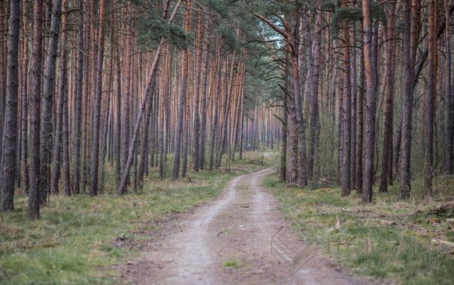 Działka inwestycyjna Bydgoszcz Mariampol, ul. Świętokrzyska. Zdjęcie 8