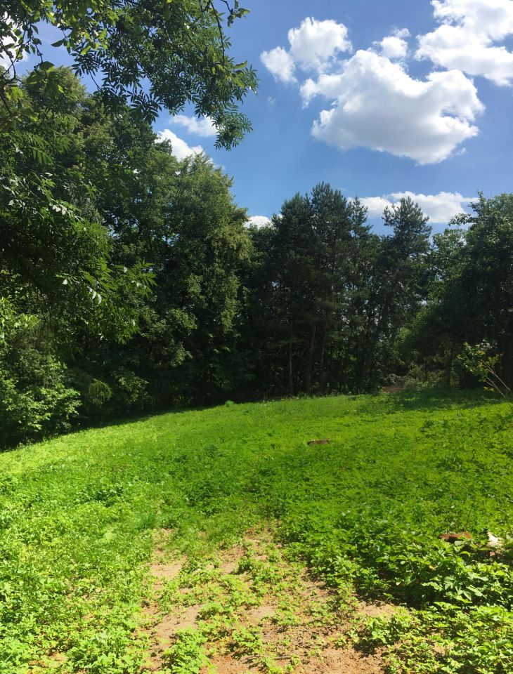 Działka budowlana Rybna Kucoroszec, ul. Górna. Zdjęcie 8