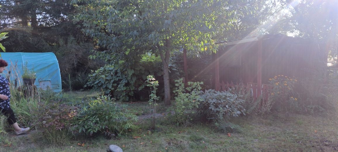 Działka rod Lublin, ul. Nałęczowska. Zdjęcie 8