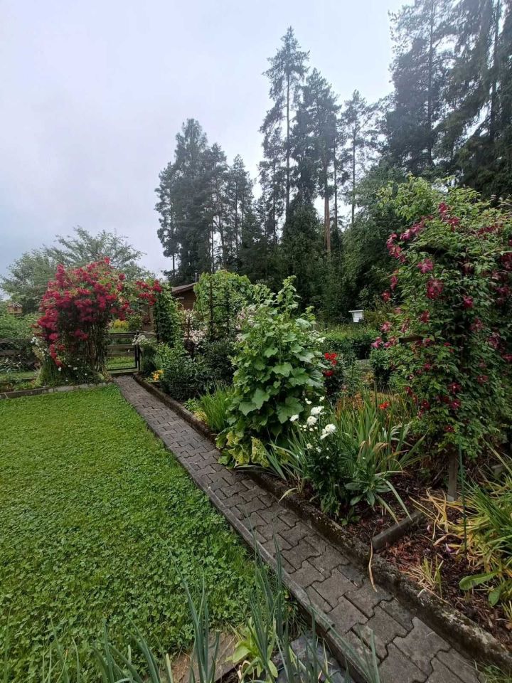 Działka rod Nowy Targ. Zdjęcie 6