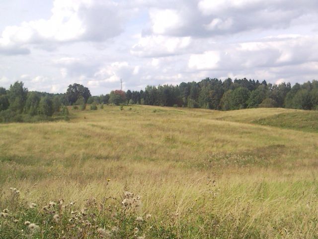 Działka rekreacyjna Stary Gieląd. Zdjęcie 4