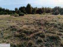 Działka rolna Załom. Zdjęcie 2