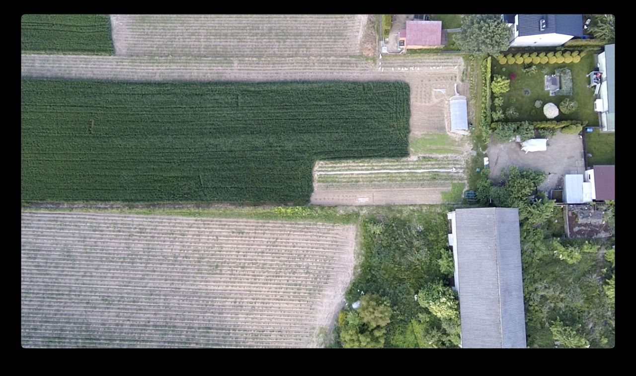 Działka budowlana Krzysztoforzyce, ul. Glinik. Zdjęcie 3