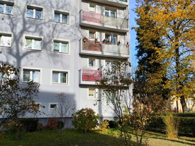 Mieszkanie 1-pokojowe Kielce Sady, ul. Marszałkowska. Zdjęcie 11