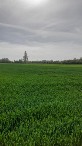 Działka rolno-budowlana Policzna, ul. Daleka. Zdjęcie 2
