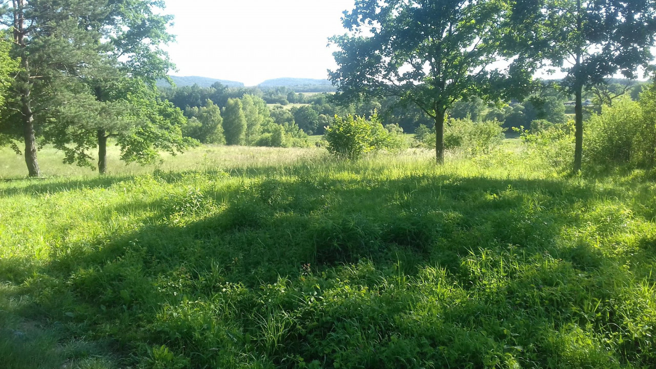 Działka budowlana Szczukowskie Górki. Zdjęcie 4