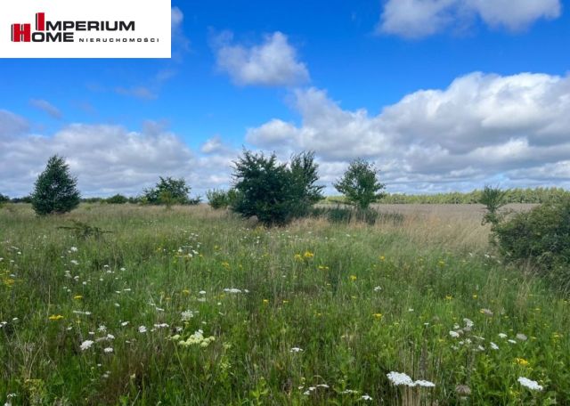 Działka budowlana Łebcz, ul. Pogodna. Zdjęcie 11