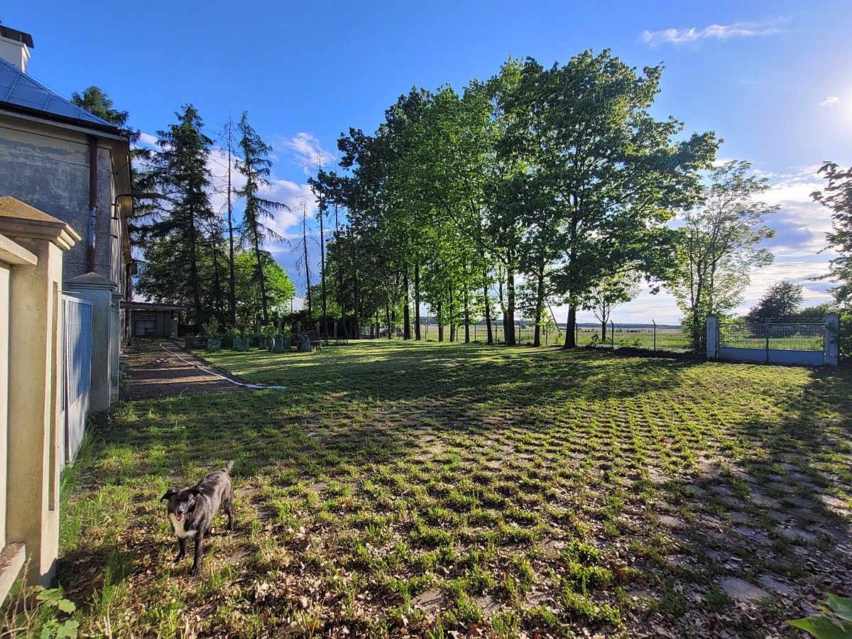 Hotel/pensjonat Wypychów. Zdjęcie 6