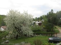 Działka rod Zabierzów. Zdjęcie 4