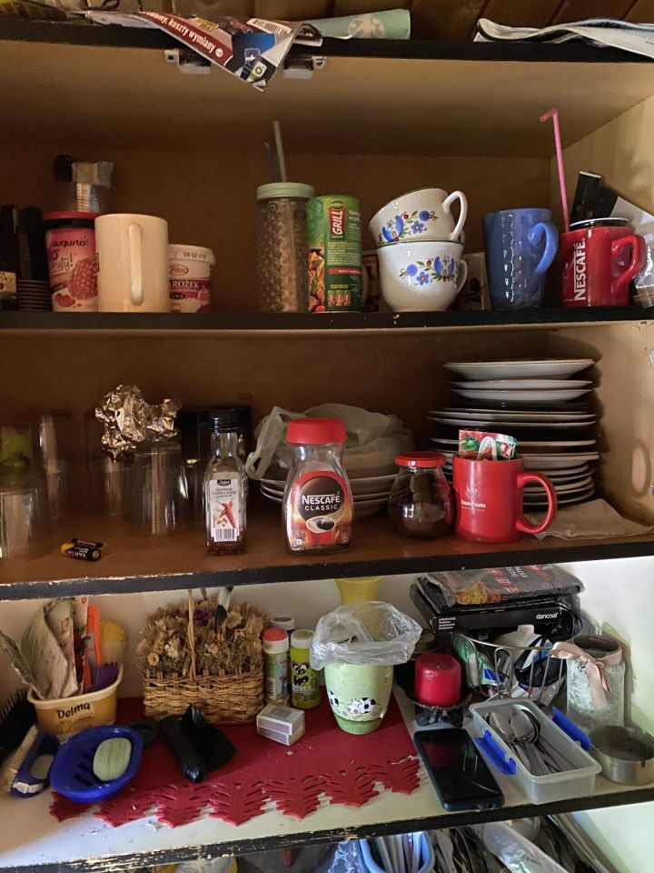 Działka rod Gdynia Mały Kack, ul. Grodnieńska. Zdjęcie 7