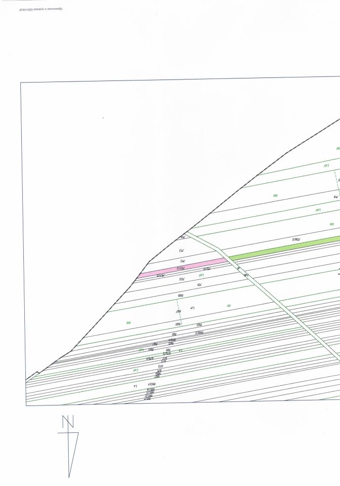 Działka leśna Skupie. Zdjęcie 2