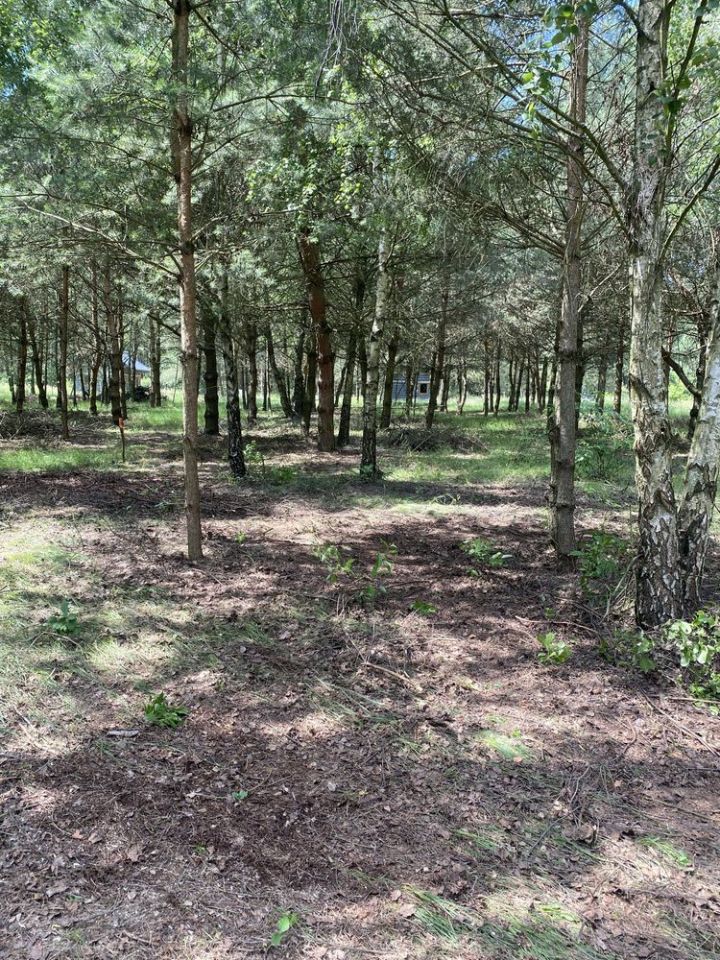 Działka Księża Wólka. Zdjęcie 2