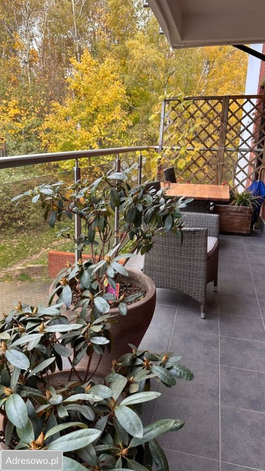 Mieszkanie 5-pokojowe Katowice Wełnowiec, ul. Stanisława Rożanowicza. Zdjęcie 6