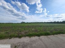 Działka rekreacyjna Poznań Naramowice. Zdjęcie 3