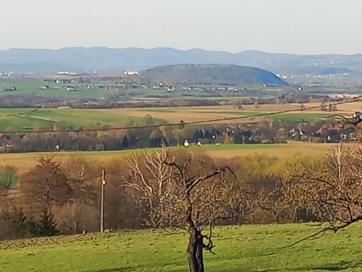 Działka rolno-budowlana Szczawina. Zdjęcie 4
