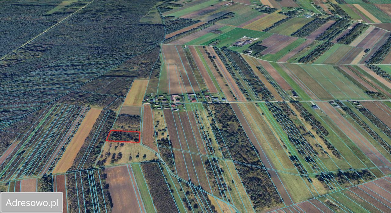 Działka rolno-budowlana Skrzydlów. Zdjęcie 3