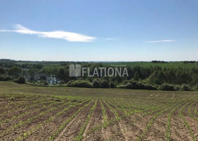 Działka rolna Wałdowo. Zdjęcie 7