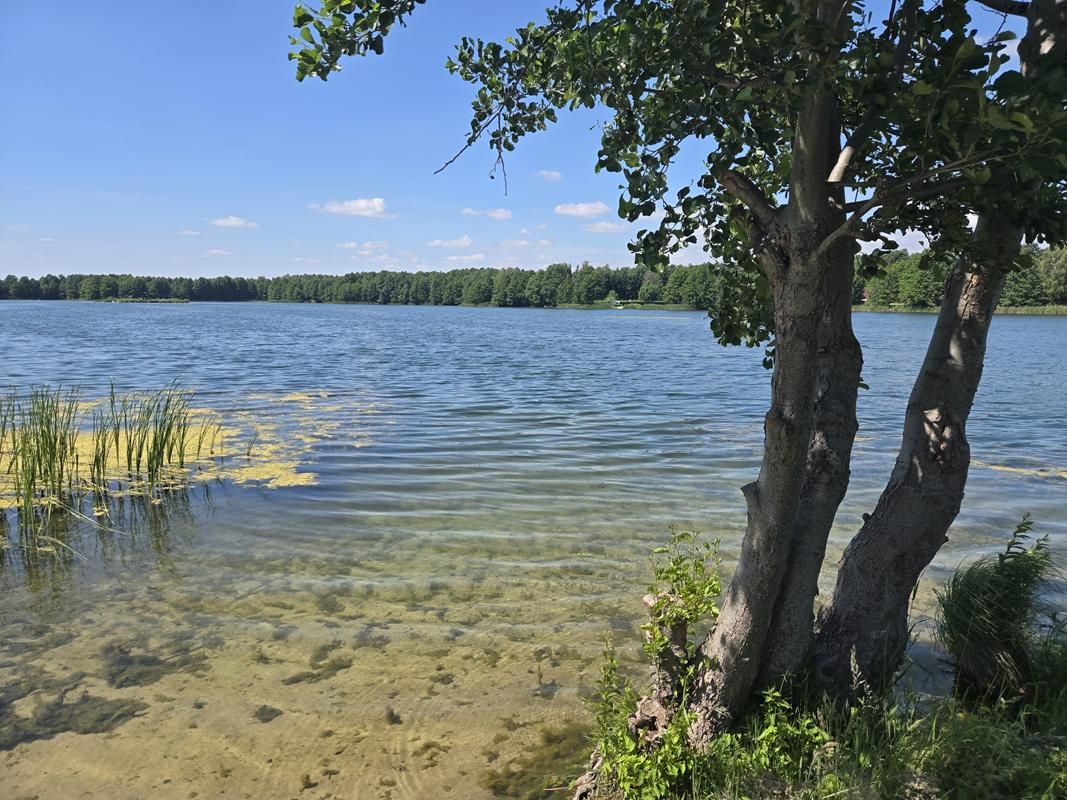 Działka budowlana Dąb Polski, ul. Liliowa. Zdjęcie 2