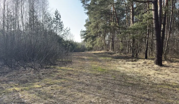 Działka budowlana Lisak